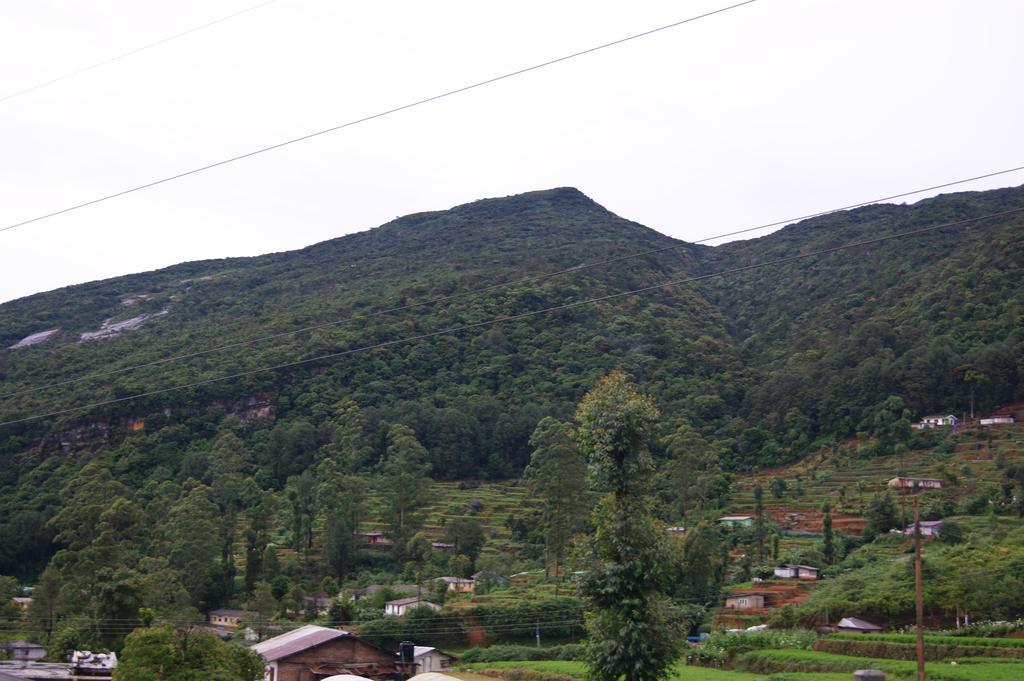 Winter Dream Holiday Bungalow Nuwara Eliya Camera foto