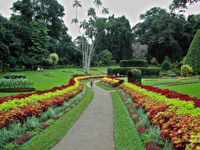 Winter Dream Holiday Bungalow Nuwara Eliya Esterno foto