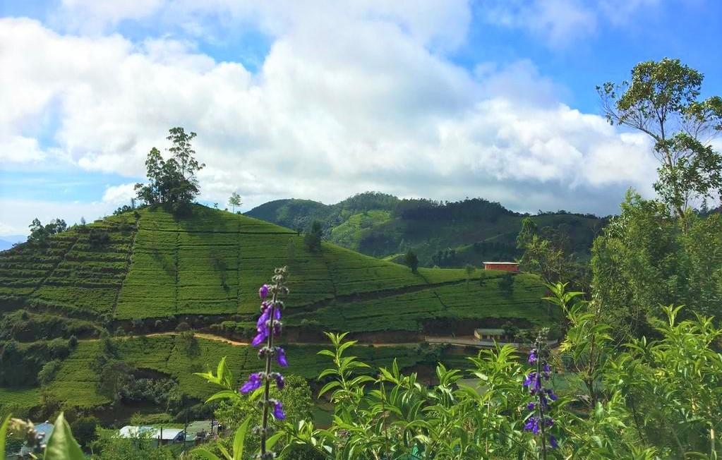 Winter Dream Holiday Bungalow Nuwara Eliya Esterno foto